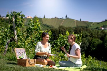 Zwei Frauen machen Picknick in den Weinbergen